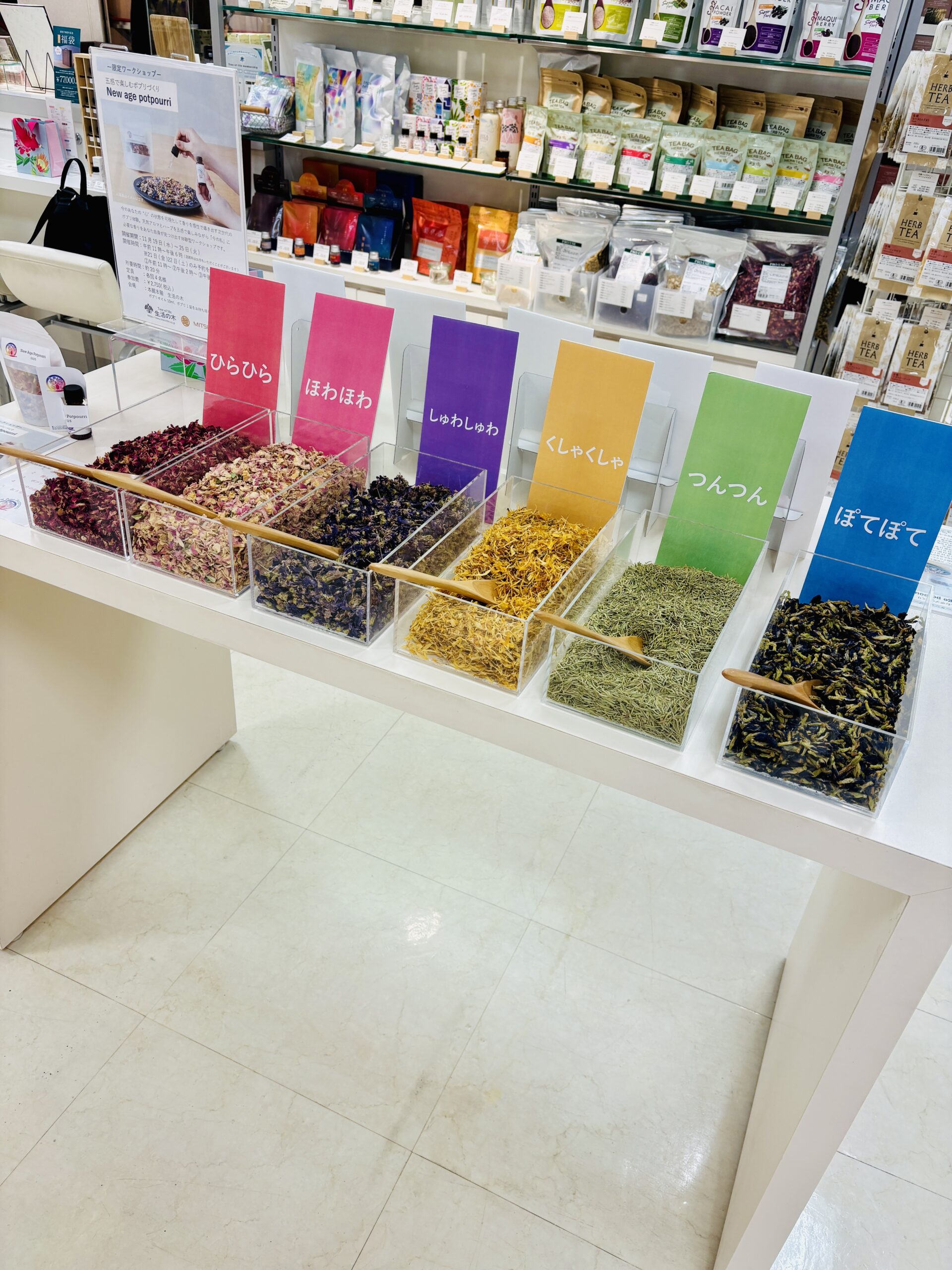 体験型ワークショップ🌿